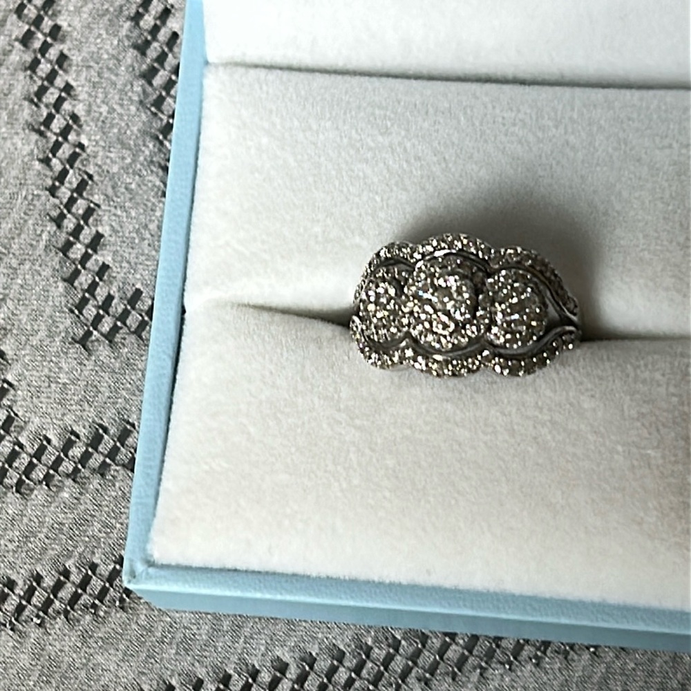 Bypass ring - Picture 4 of 12